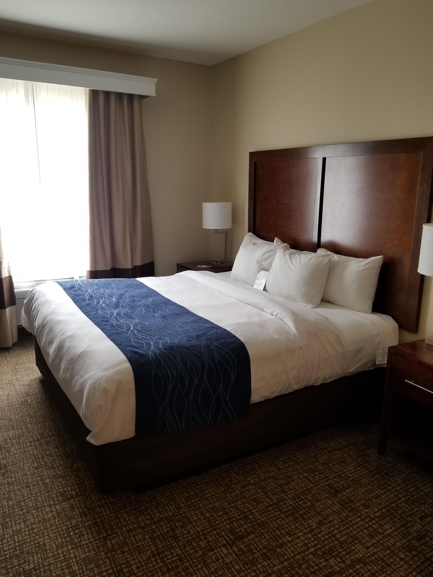 מלון Sonesta Essential - Baton Rouge Airport מראה חיצוני תמונה